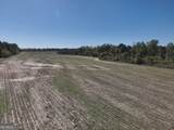 0 Old Pelham Road - Photo 4