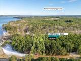 1250 Striper Cove - Photo 2