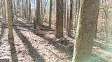 6147 Little Ridge Road - Photo 16