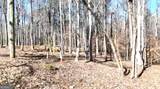 6147 Little Ridge Road - Photo 30