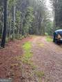 3199 Big Ridge Road - Photo 10