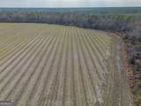 TRACT 3 Reddish Road - Photo 18