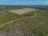 TRACT 3 Reddish Road - Photo 25