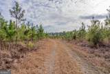 TRACT 3 Reddish Road - Photo 35