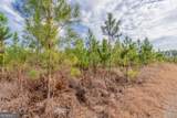 TRACT 3 Reddish Road - Photo 36