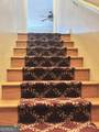 977 Cedar Crossing Vidalia Road - Photo 11