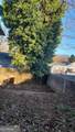 1070 Camilla Street - Photo 48