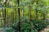 4.69 AC Rockwater Road - Photo 16