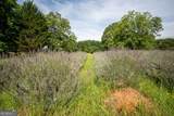 442 Buffalo Creek Road - Photo 38