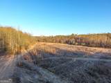 0 Wildcat Road - Photo 33