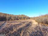 0 Wildcat Road - Photo 50