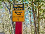 0 Woodland Lane - Photo 11
