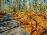 0 Woodland Lane - Photo 12