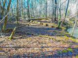0 Woodland Lane - Photo 6