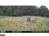 7596 Red Bud - Photo 27