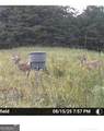 7596 Red Bud - Photo 28