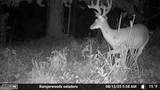 7596 Red Bud - Photo 29