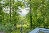 28 Coon Tail Road - Photo 80