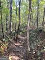 0 Firetower Road - Photo 10