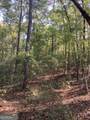 0 Firetower Road - Photo 11
