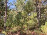 0 Firetower Road - Photo 12