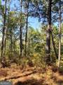 0 Firetower Road - Photo 3