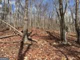 4528 Sassafras Mountain Trail - Photo 11