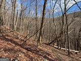 4528 Sassafras Mountain Trail - Photo 12