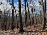 4528 Sassafras Mountain Trail - Photo 13
