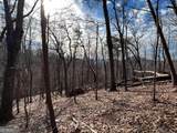 4528 Sassafras Mountain Trail - Photo 14