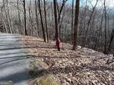 4528 Sassafras Mountain Trail - Photo 16