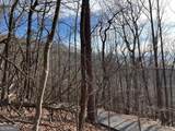 4528 Sassafras Mountain Trail - Photo 2