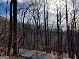 4528 Sassafras Mountain Trail - Photo 3