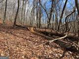 4528 Sassafras Mountain Trail - Photo 4