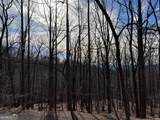 4528 Sassafras Mountain Trail - Photo 5