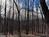 4528 Sassafras Mountain Trail - Photo 6