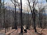 4528 Sassafras Mountain Trail - Photo 7