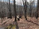 4528 Sassafras Mountain Trail - Photo 8