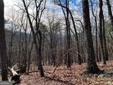 4528 Sassafras Mountain Trail - Photo 9
