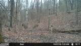 733 Cherry Road - Photo 65