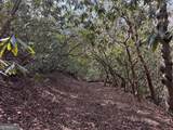 0 Mountain Lion Trail - Photo 13