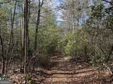 0 Mountain Lion Trail - Photo 17