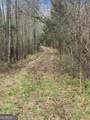 34.61 ACRES Walker Road - Photo 12
