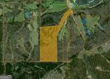 34.61 ACRES Walker Road - Photo 3