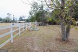 125 Trailwood Road - Photo 3