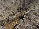 513 Trackrock Gap Road - Photo 11