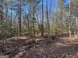 513 Trackrock Gap Road - Photo 15