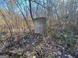 513 Trackrock Gap Road - Photo 6