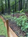 200 Blackbird Circle - Photo 42