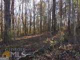 LOT#5, 11+ AC. Mcbride Road - Photo 5